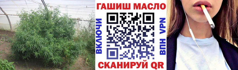 мега вход  Игра  ТГК концентрат  как найти  