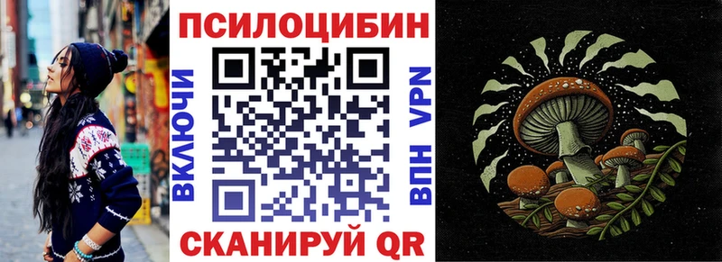 где купить наркотик  Игра  Псилоцибиновые грибы MAGIC MUSHROOMS 