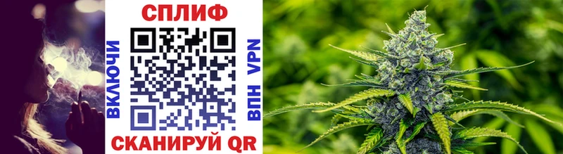 shop как зайти  Игра  Шишки марихуана THC 21% 